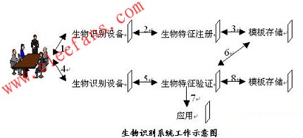 生物识别系统