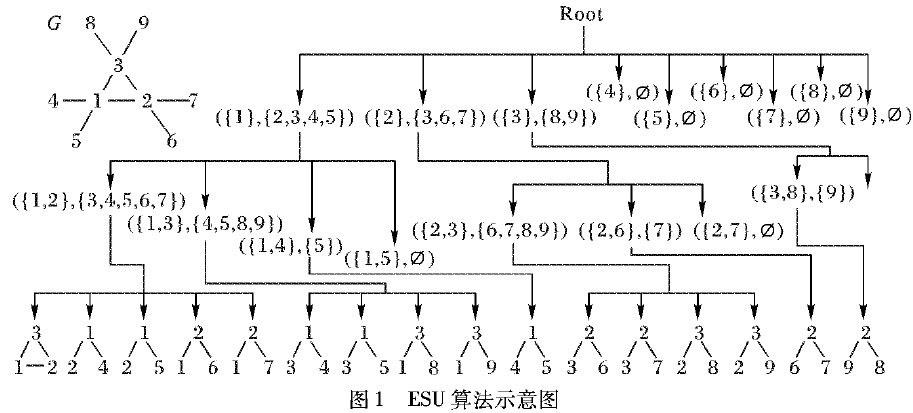 如何利用生物复杂网络motif发现的并行算法