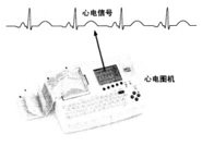 放大器