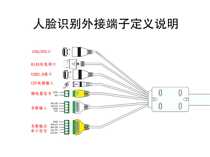 人脸识别