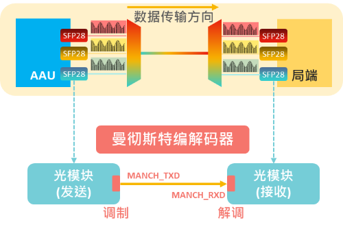 光模块