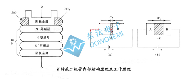 肖特基二极管