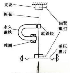 电信号