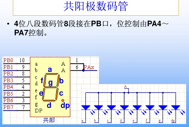 8段数码管引脚图,8段数码管动态显示详解