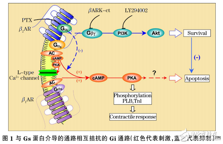 光生物调节的作用及激光医学原理与医用激光器的介绍